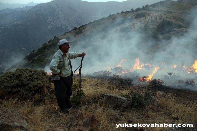 Şemdinli'de orman yangınları sürüyor 60