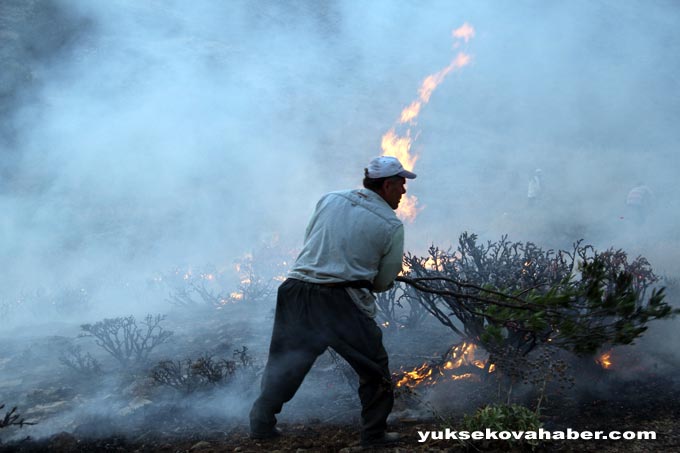 Şemdinli'de orman yangınları sürüyor 7
