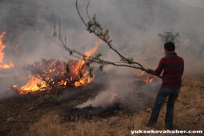 Şemdinli'de orman yangınları sürüyor 9