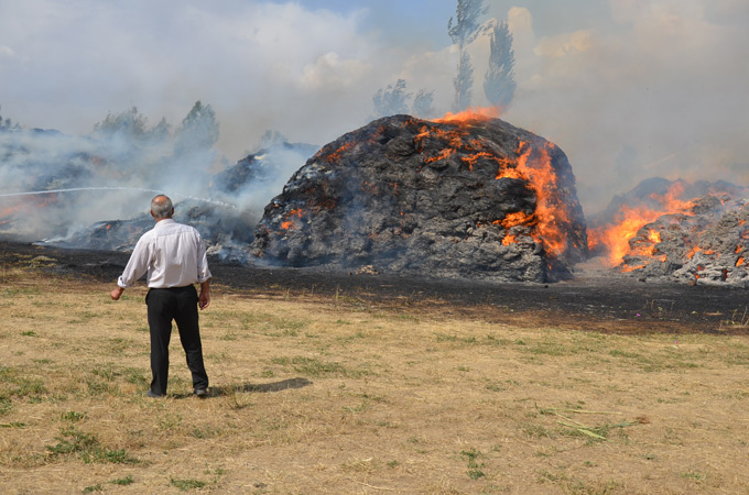Yüksekova’daki yangında 40 bin bağ ot yandı 6