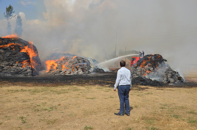 Yüksekova’daki yangında 40 bin bağ ot yandı 7