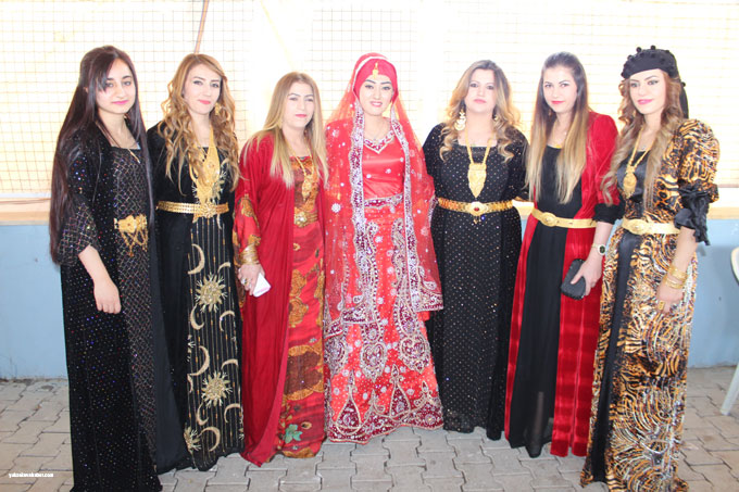Yüksekova Düğünleri (18-19 Ekim 2015) 46