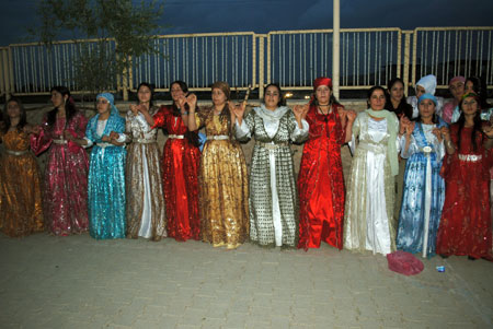 Yüksekova düğünleri (20-06-2010) 35