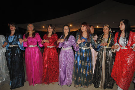 Yüksekova düğünleri (20-06-2010) 71