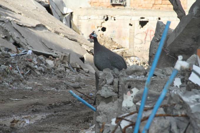 Cizre'de vahşet bodrumları görüntülendi 34
