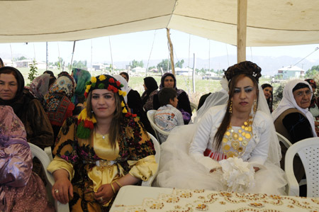Yüksekova Düğünleri (27.06 2010) 109