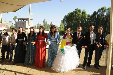 Yüksekova Düğünleri (27.06 2010) 41