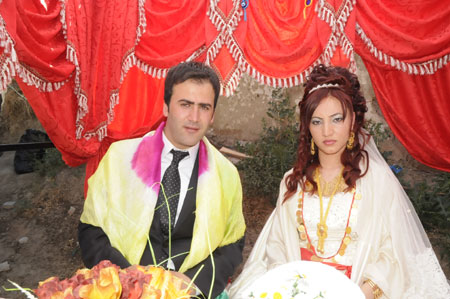 Yüksekova düğünleri ( 3-4 Temmuz 2010) 5