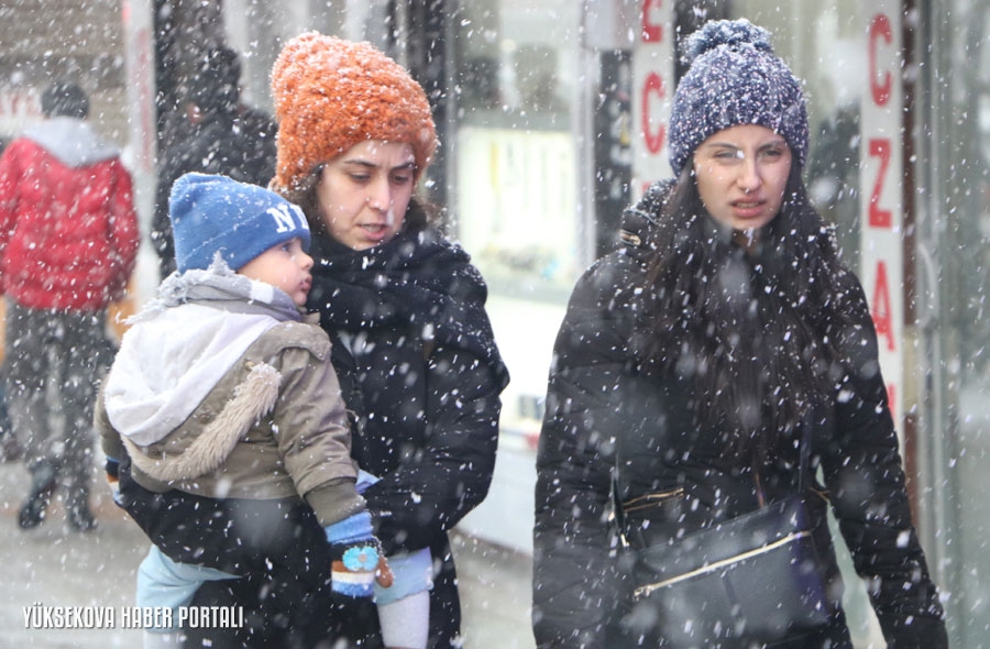 31-01-2020 - Yüksekova'da kar yağışı 1