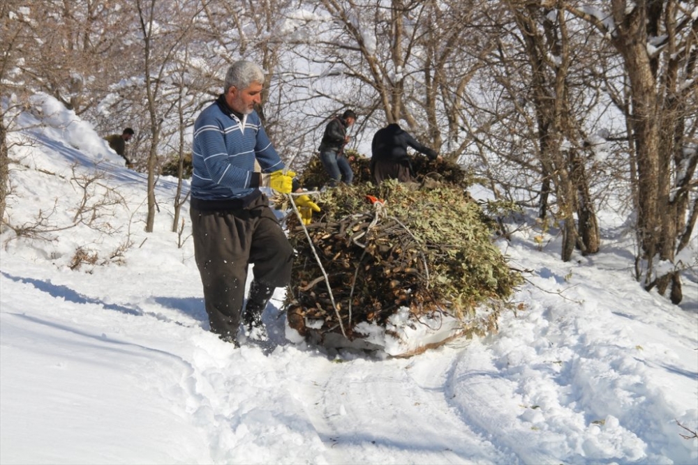 Hayvanları için dondurucu soğukta karlı tepelerden ot taşıyorlar 1