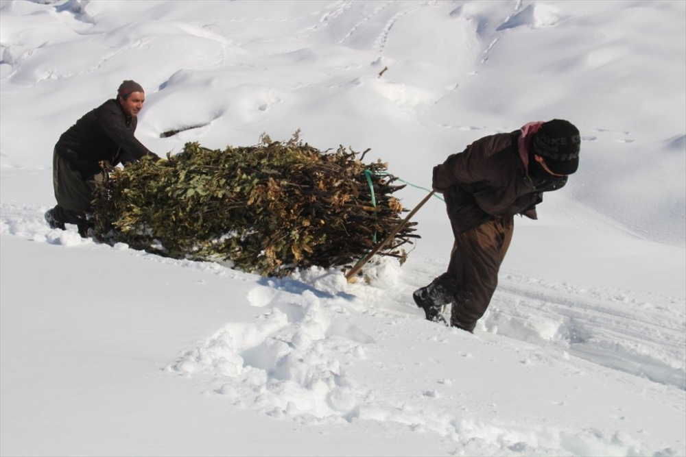 Hayvanları için dondurucu soğukta karlı tepelerden ot taşıyorlar 10