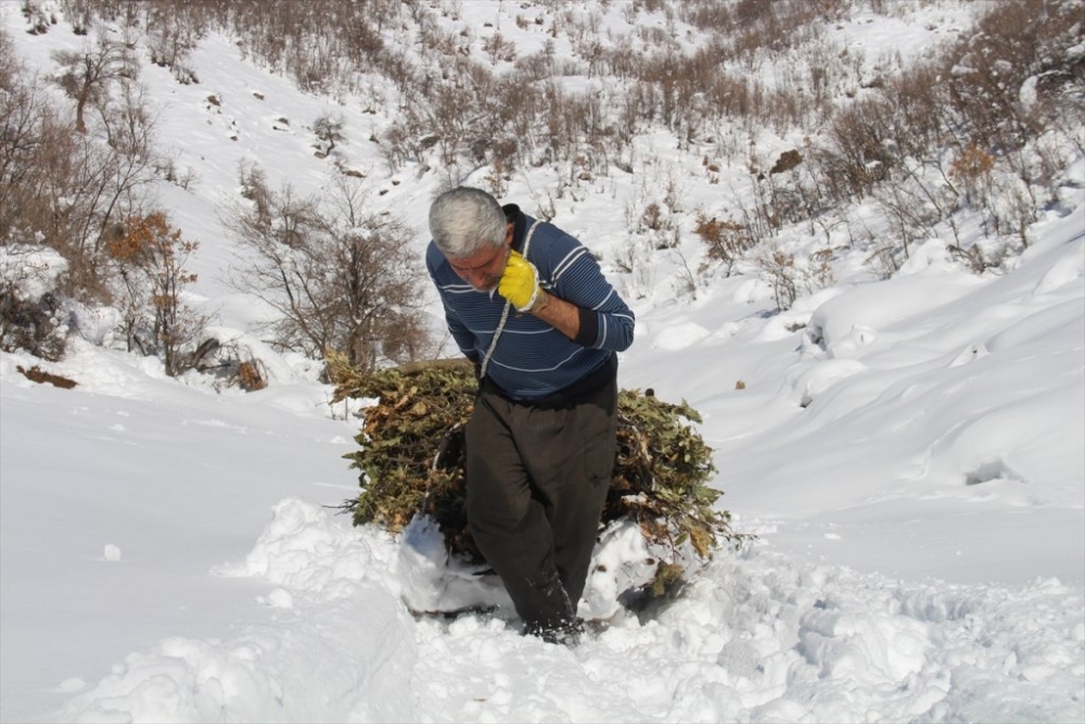 Hayvanları için dondurucu soğukta karlı tepelerden ot taşıyorlar 5