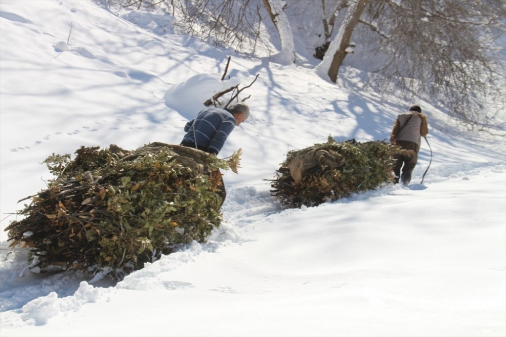 Hayvanları için dondurucu soğukta karlı tepelerden ot taşıyorlar 9