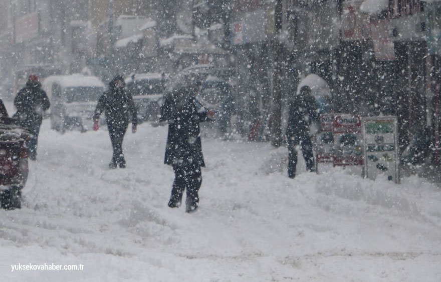 Yüksekova'da kar yağışı etkili oldu 15