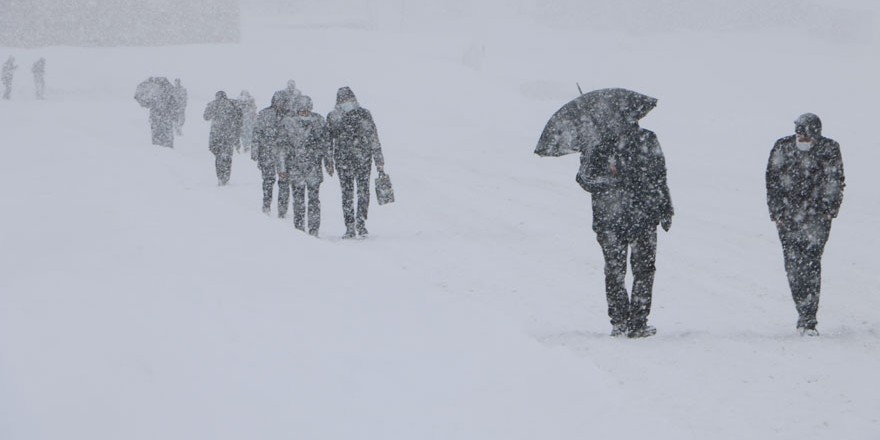 Yüksekova'da kar yağışı etkili oldu