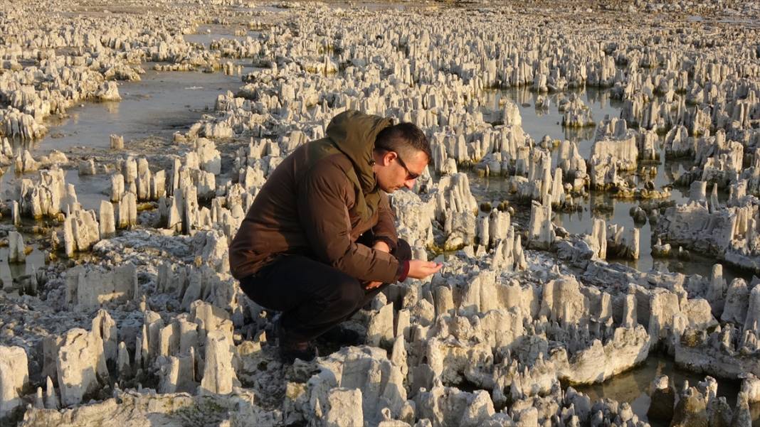 Binlerce yılda oluşan mikrobiyalitler Van Gölü'nün çekilmesiyle gün yüzüne çıktı 1