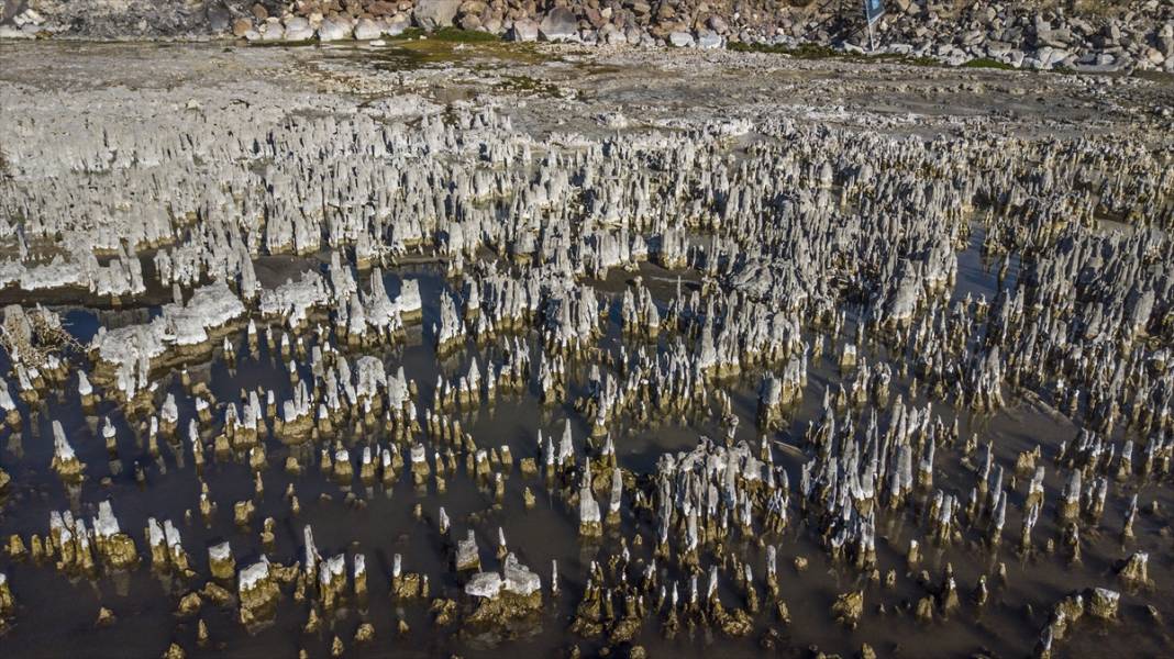 Binlerce yılda oluşan mikrobiyalitler Van Gölü'nün çekilmesiyle gün yüzüne çıktı 4