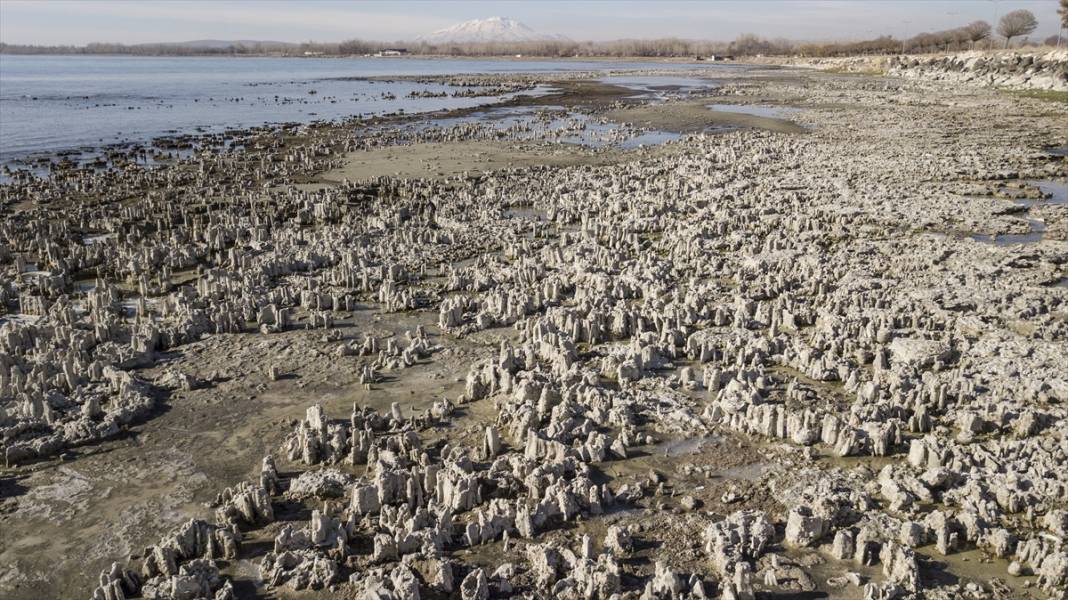 Binlerce yılda oluşan mikrobiyalitler Van Gölü'nün çekilmesiyle gün yüzüne çıktı 5