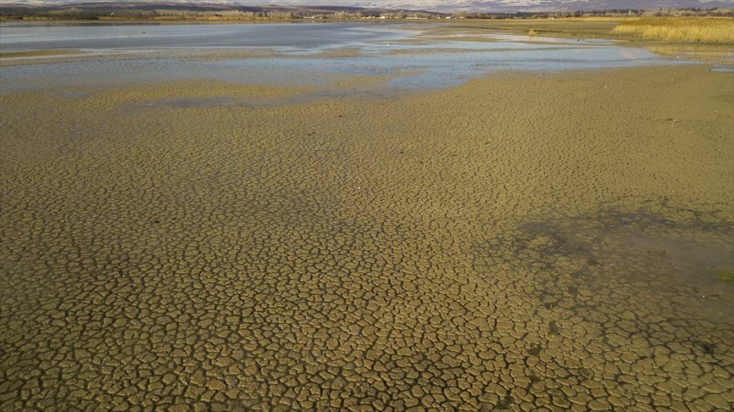 Binlerce yılda oluşan mikrobiyalitler Van Gölü'nün çekilmesiyle gün yüzüne çıktı 9