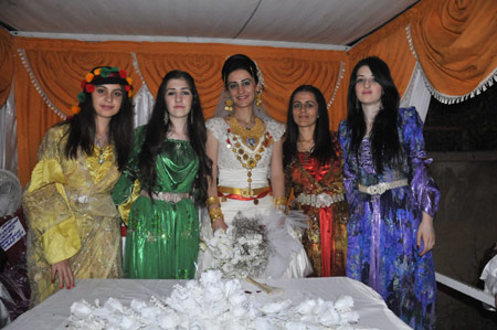 Yüksekova Düğünleri (25.07.2010) 67