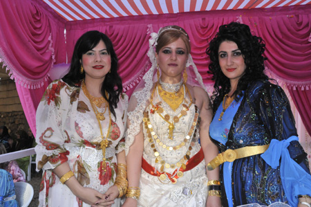 Yüksekova Düğünleri (01.08.2010) 36