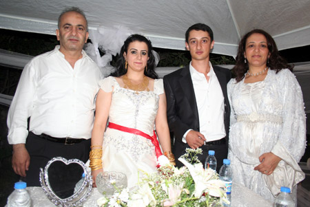 Van'da yapılan Şedal ailesinin düğününden fotoğraflar 110