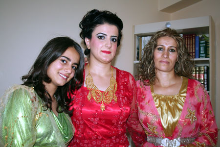 Van'da yapılan Şedal ailesinin düğününden fotoğraflar 122