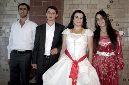 Van'da yapılan Şedal ailesinin düğününden fotoğraflar 24