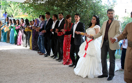 Van'da yapılan Şedal ailesinin düğününden fotoğraflar 48