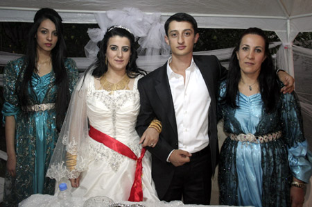 Van'da yapılan Şedal ailesinin düğününden fotoğraflar 52