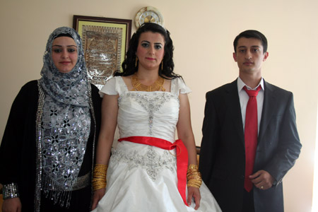 Van'da yapılan Şedal ailesinin düğününden fotoğraflar 61