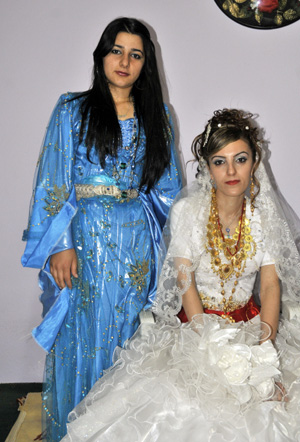 Yüksekova Düğünleri (08.08.2010) 113