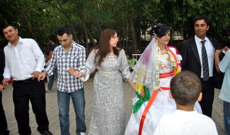 Yüksekova Düğünleri (08.08.2010) 152