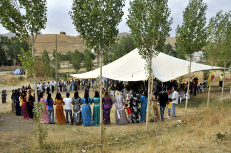 Yüksekova Düğünleri (08.08.2010) 175