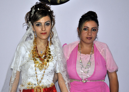 Yüksekova Düğünleri (08.08.2010) 226