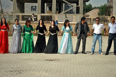 Yüksekova Düğünleri (08.08.2010) 255