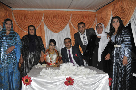 Yüksekova düğünleri 19.09.2010 120