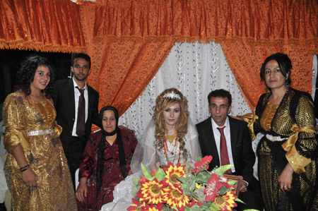 Yüksekova düğünleri 19.09.2010 141