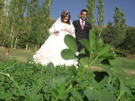 9-10 Ekim 2010 - Şemdinli Düğünlerinden fotoğraflar 82