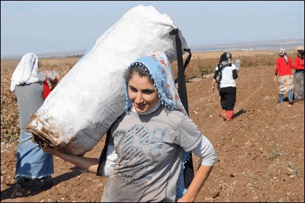 Kadınlar işsizlik ve kandan şikayetçi 3