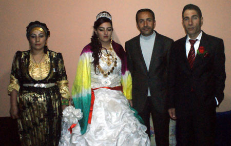 Yüksekova Düğünleri - Foto Galeri - 24.10.2010 137