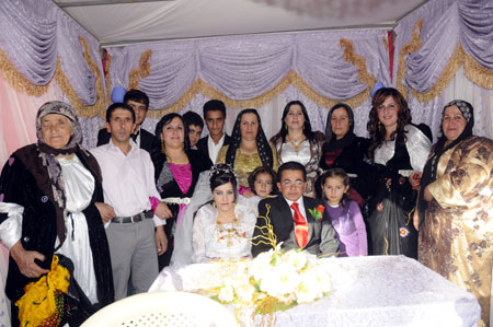 Yüksekova Düğünleri - Foto Galeri - 24.10.2010 151