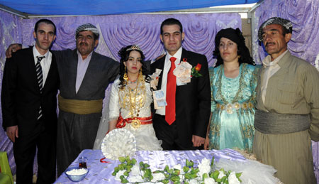 Yüksekova Düğünleri - Foto Galeri - 24.10.2010 181