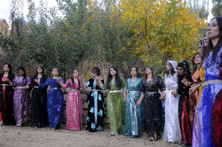 Yüksekova Düğünleri - Foto Galeri - 24.10.2010 57