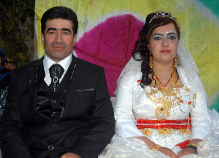 Yüksekova Düğünleri - Foto Galeri - 24.10.2010 6