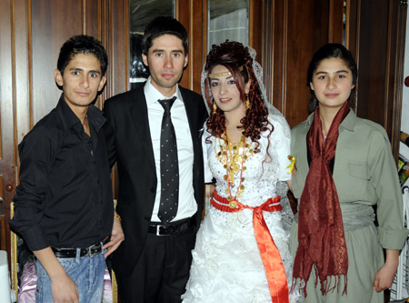 Yüksekova Düğünleri - Foto Galeri - 31.10.2010 162