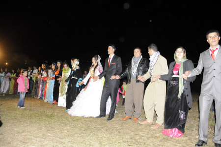 Yüksekova Düğünleri - Foto Galeri - 31.10.2010 171
