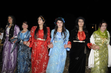 Yüksekova Düğünleri - Foto Galeri - 31.10.2010 173