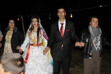 Yüksekova Düğünleri - Foto Galeri - 31.10.2010 174