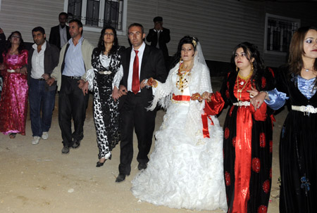 Yüksekova Düğünleri 07.11.2010 141